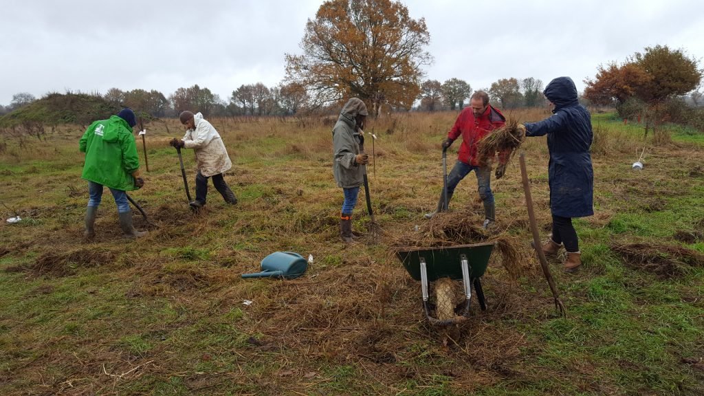 Tree planting at The Big Raise