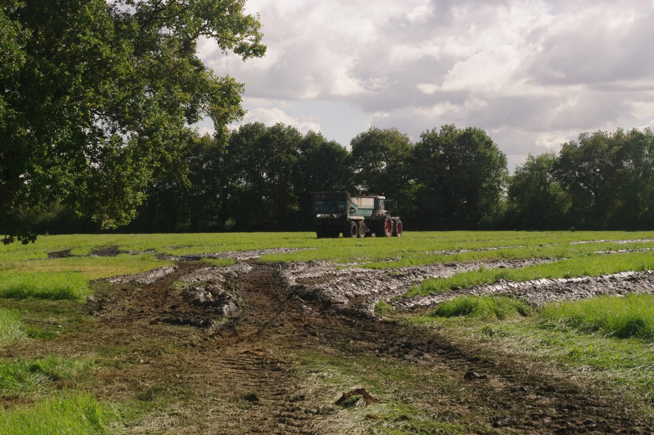Spreading the muck on the field