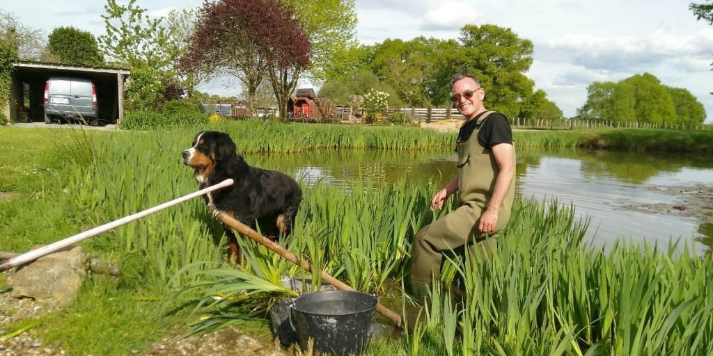 Raiding the neighbours' pond for irises