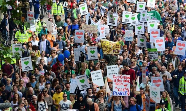 C is for Campaigning