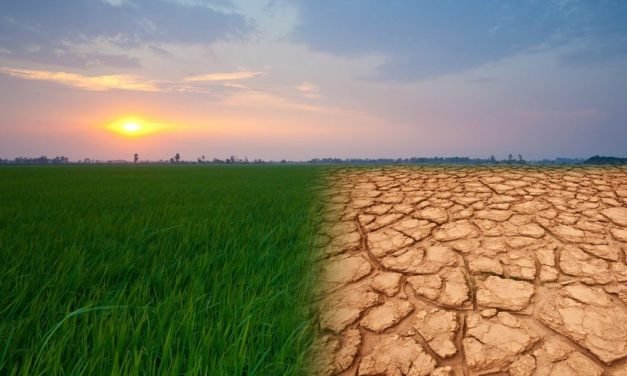 C is for Climate Change