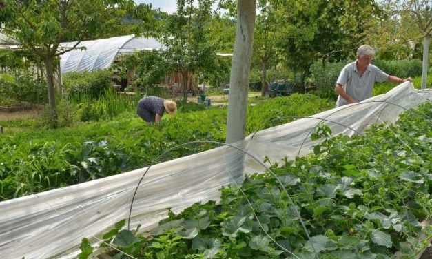 B is for Bec Hellouin