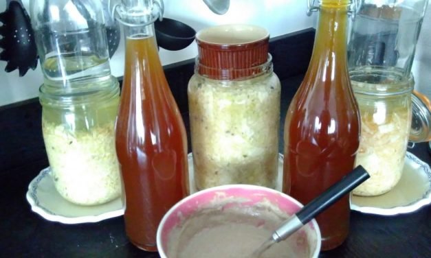 F is for Fermentation