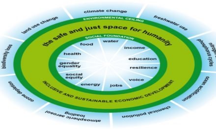 D is for Doughnut (Economics)