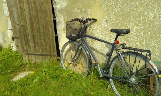Getting to the farm and meeting the locals
