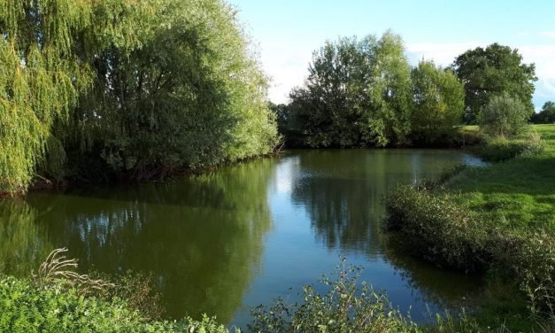 Cleaning out and deepening the pond