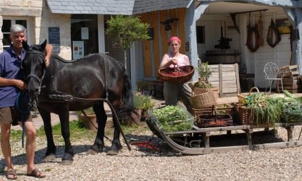 Interview with Charles + Perrine of Bec Hellouin Permaculture Farm