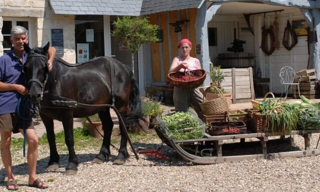 Interview with Charles + Perrine of Bec Hellouin Permaculture Farm