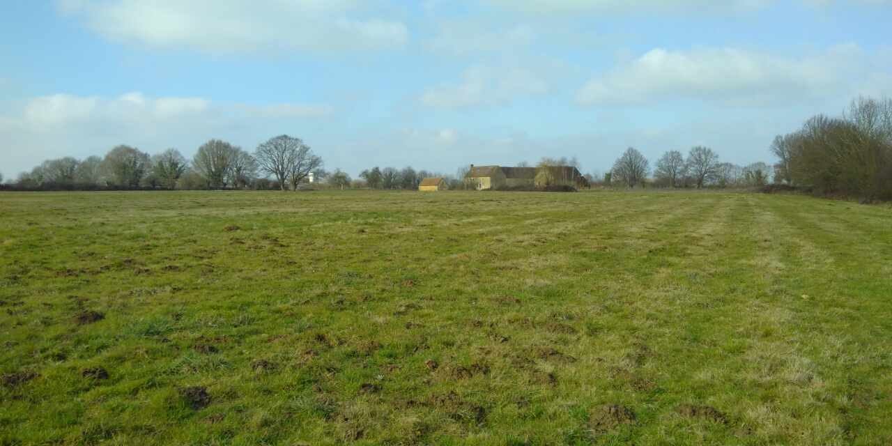 Calling in the soil doctor at The Big Raise