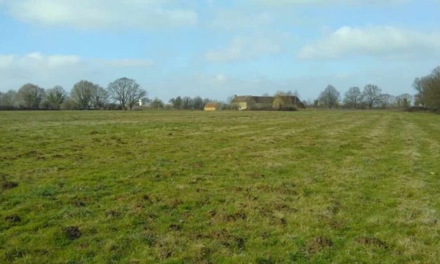 Calling in the soil doctor at The Big Raise