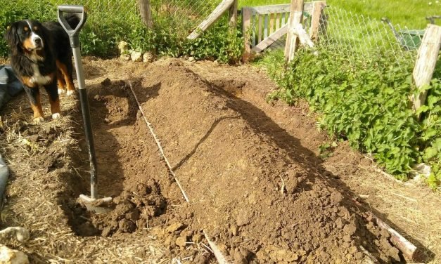 Spring has finally arrived at The Big Raise