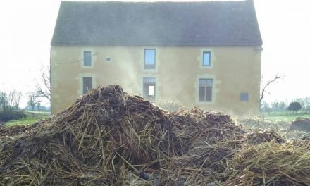 Two steps forward, one step back