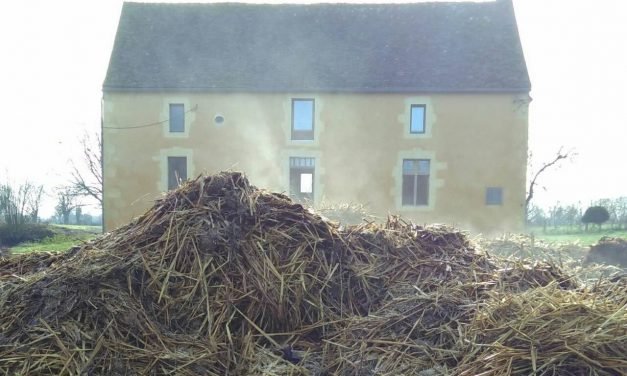 Two steps forward, one step back