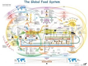 Map of food systems