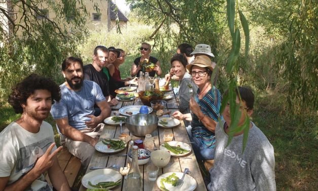 New course dates for 2020, food growing and bottling, WWOOFers and fields of gold