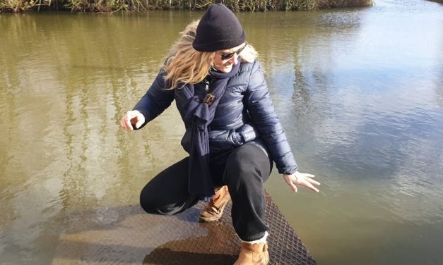 Filling the pond, burning wood, planting trees…