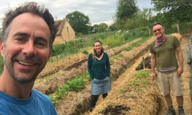 Surviving lockdown at the farm