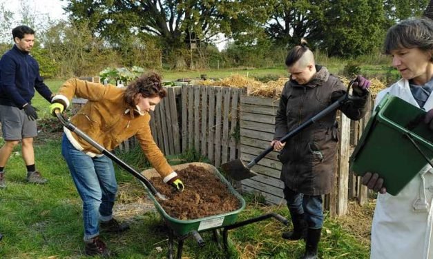 2021 : building a greenhouse, restoring the well, expanding the forest garden, spreading the poo!