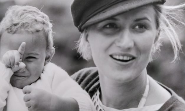 Summer 2022: new barn roof with solar panels; wattle&daub; new window and wall; Open Day; RIP Danièle Lepetit 1938-2022