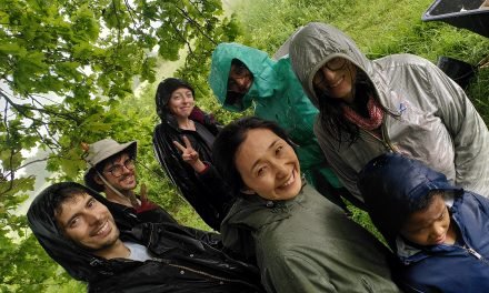 September 2023: summer rain at last; mountains of fruit; autumn 2023 courses, energy efficiency & renewables