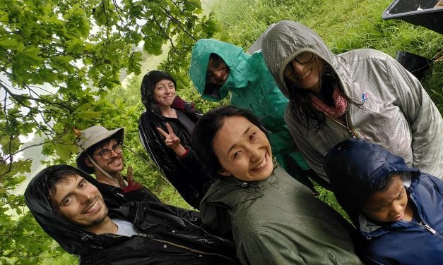 September 2023: summer rain at last; mountains of fruit; autumn 2023 courses, energy efficiency & renewables